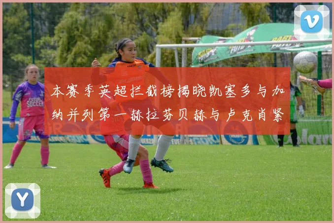 本赛季英超拦截榜揭晓凯塞多与加纳并列第一赫拉芬贝赫与卢克肖紧随其后