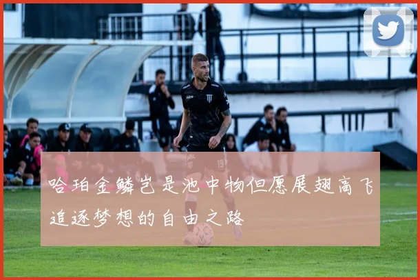 哈珀金鳞岂是池中物但愿展翅高飞追逐梦想的自由之路